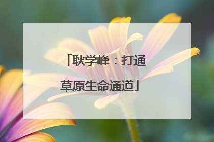 耿学峰：打通草原生命通道